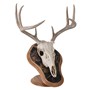 Deluxe&#32;Euro&#32;Skull&#32;Display&#32;Kit&#32;in&#32;Oak&#32;with&#32;Camo&#32;Image&#32;Enhancement&#32;