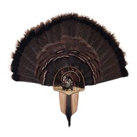 Turkey Display Kit, Oak Strutter