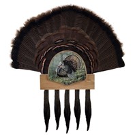 Five Beard Turkey Display Kit, King of Spring