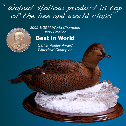 Oval-Taxidermy-Base-Walnut-King-Eider-Mount-with-Quote