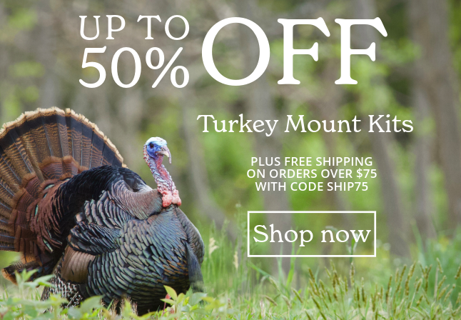 Walnut Hollow Turkey Mount Kits Sale