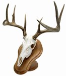 Euro Mount Kits