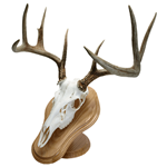 Euro Mount Kits