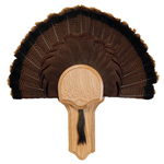 Traditional Turkey Display Kits