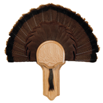 Turkey Display Kits