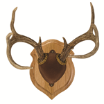 Antler Mount Kits