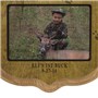 Antler&#32;Mount&#32;Personalized&#32;Taxidermy&#32;Deer&#32;Hunting