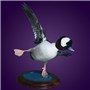 Bufflehead&#32;&#124;&#32;Mount&#32;by&#32;Breck&#32;Dickinson&#32;&#124;&#32;Walnut&#32;Round&#32;Base