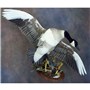 &#32;Canada&#32;Goose&#32;&#124;&#32;Mount&#32;by&#32;Eugene&#32;Streekstra&#8211;Wildfowl&#32;Unlimited&#32;&#124;&#32;Walnut&#32;Round&#32;Base&#32;and&#32;Universal&#32;Disp