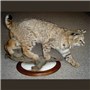 Walnut&#32;Round&#32;Base