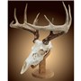 Solid&#32;Oak&#32;Skull&#32;Mount&#32;Kit