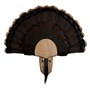 Solid&#32;Oak&#32;Turkey&#32;Mount&#32;Kit