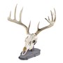 Walnut-Hollow_Rustic-Pine-Euro-Mount-Kit_537774_LS01