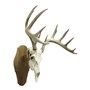 Walnut-Hollow_Solid-Cherry-Euro-Mount-Kit_537775_LS05