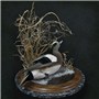 Widgeon&#32;&#124;&#32;Mount&#32;by&#32;Stephen&#32;Dotson&#32;&#124;&#32;Walnut&#32;Round&#32;Base