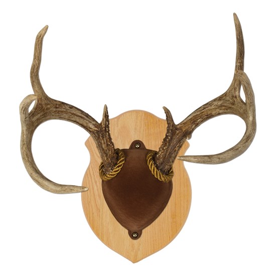 Solid Oak Antler Mount Kit