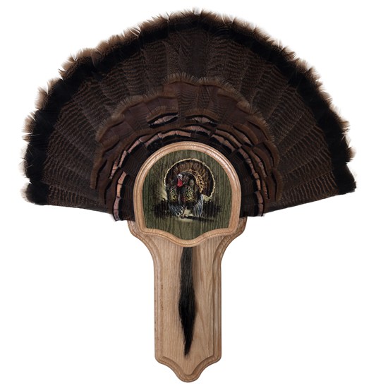 Deluxe_Turkey_Kit_Display_With_Image_Enhancement_With_Fan_Taxidermy_40160