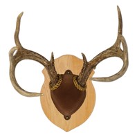 Solid Oak Antler Mount Kit