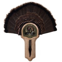 Deluxe Turkey Display Kit, Oak Drumsticks