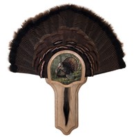 Deluxe Turkey Display Kit, Oak King of Spring