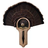 Deluxe Turkey Display Kit, Oak Full Fan