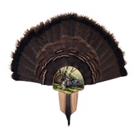 Turkey Display Kit, Oak Spring Strut
