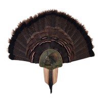 Turkey Display Kit, Oak King of Spring