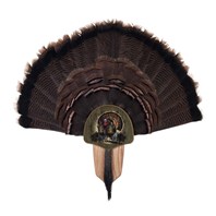Turkey Display Kit, Oak Drumsticks