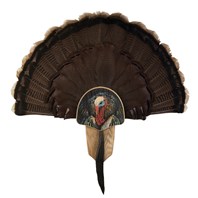 Turkey Display Kit, Oak Turkey Profile