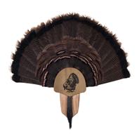 Turkey Display Kit, Oak Silhouette