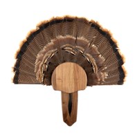 Solid Walnut Turkey Mount Kit