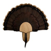 Solid Oak Turkey Mount Kit