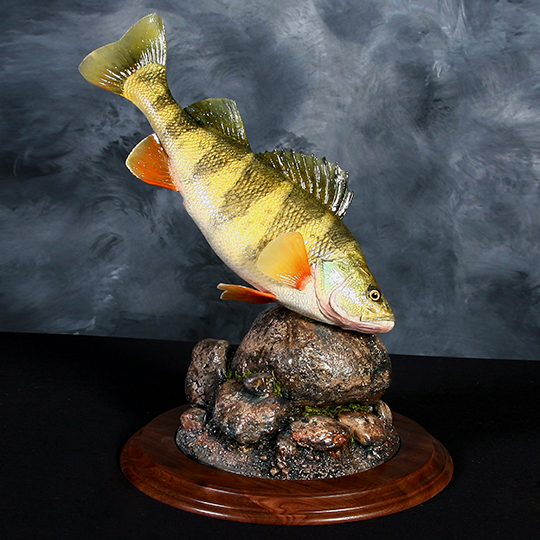 Walnut_Round_Base_Perch_Mount_Taxidermy