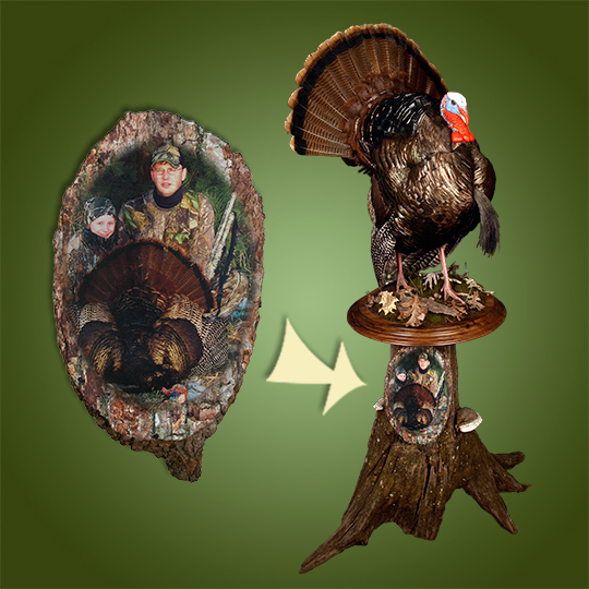 21Wood-Photo-Taxidermy-Turkey-Mount