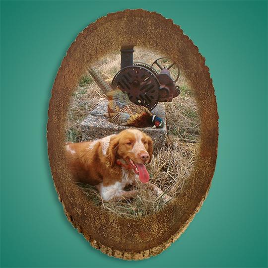 26Wood-Photo-Woodland-Round-Taxidermy-Hunting-Dog-Image