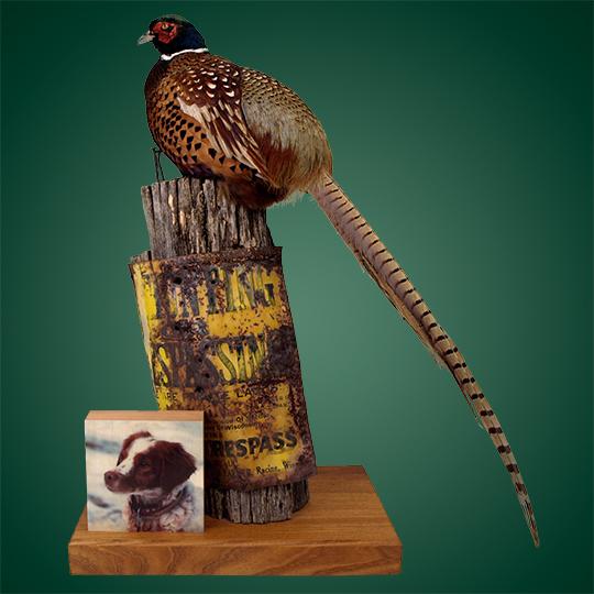 3Phesant-Taxidermy-Mount-with-Wood-Photo-Dog