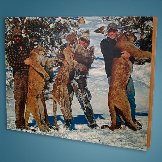8Wood-Photo-Taxidermy-Cougar-Hunt-Image