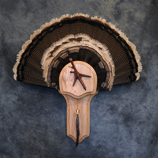 Bo-Nielsen-Flight-feather-Taxidermy-Turkey-Mount