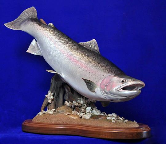 Steelhead_Mount_(1)