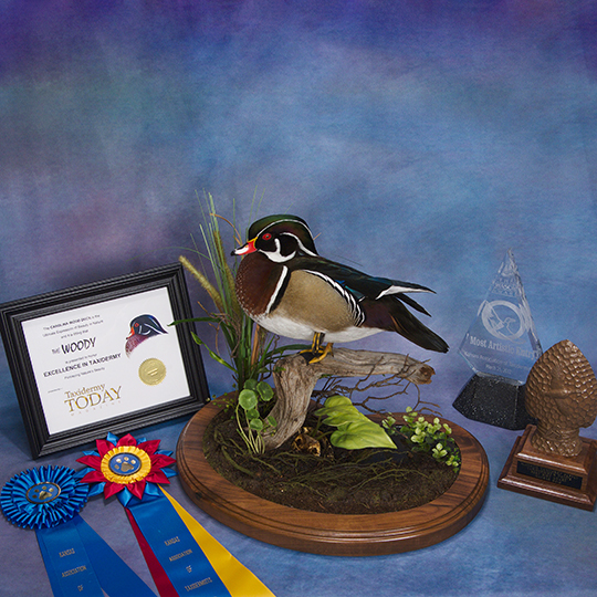 Thick-Walnut-Multi-Use-Base-Wood-Duck-Mount-Awards