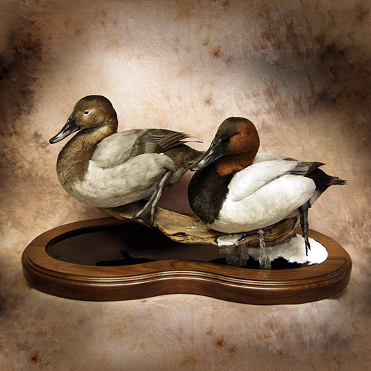 Thick_Walnut_Multi_Use_Base_Canvasback