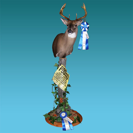 Two-Tier-Round-Oak-Taxidermy-Base-Deer-Mount