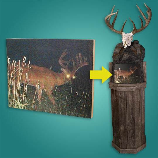 Wood-Photo-Taxidermy-Deer-Skull-Mount-and-image