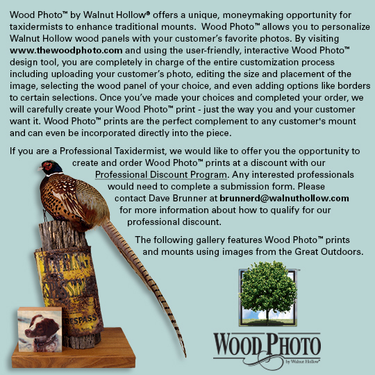 Wood-Photo-Taxidermy-Info