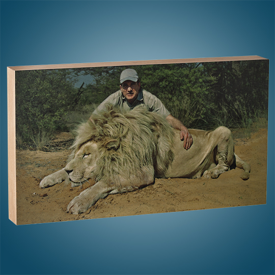 Wood_Photo_Taxidermy_Lion_Summit_Panel