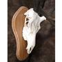 40499_Elk_Skull_on_Plaque
