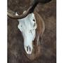 40500_Elk_Mount_3_web