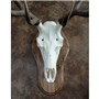 40500_Elk_Mount_4_web