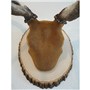 Elk&#32;&#124;&#32;Mount&#32;by&#32;Marty&#32;DeMoss&#8211;Classic&#32;Antler&#32;Mounts&#32;&#124;&#32;Basswood&#32;Country&#32;Round&#174;
