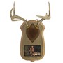 Antler&#32;Mount&#32;Personalized&#32;Kit&#32;Taxidermy&#32;Deer&#32;Hunting